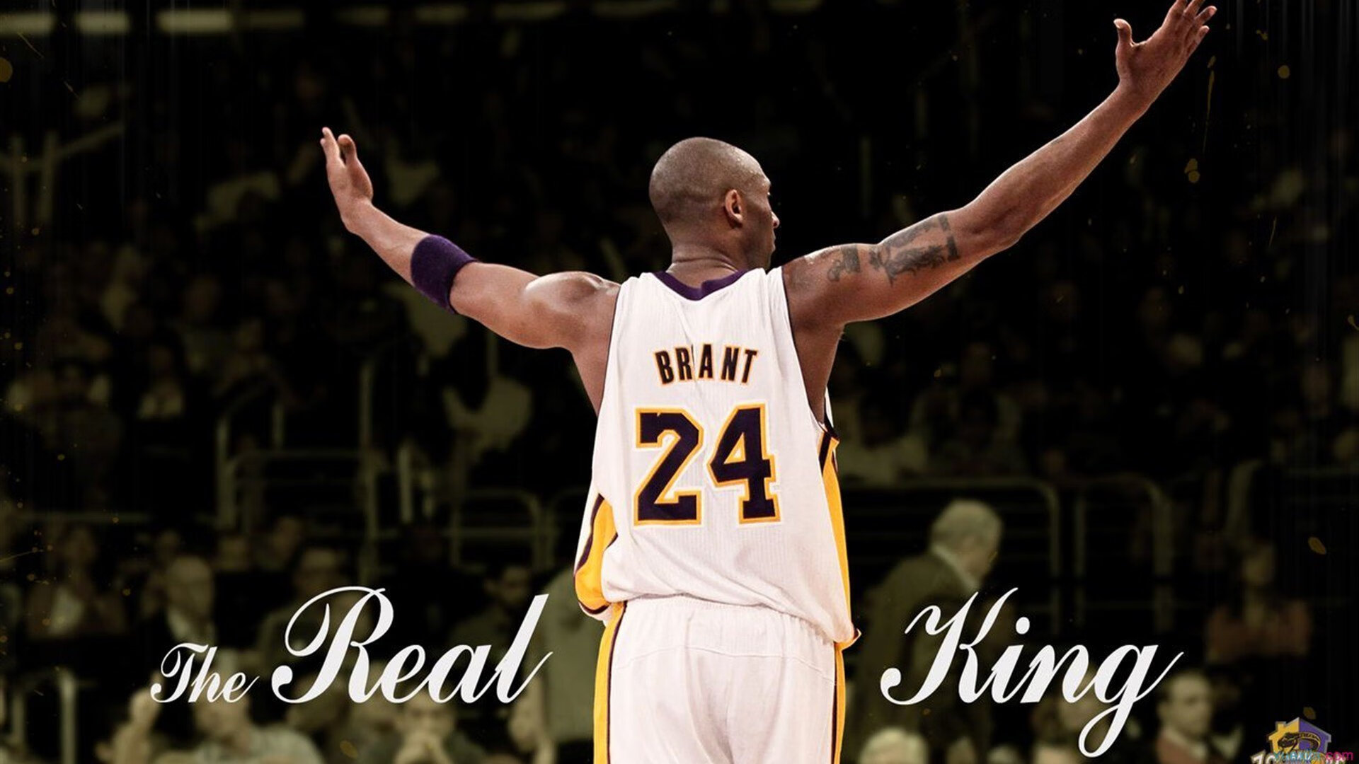 开云体育平台-世界马球NBA挑战赛中国选手瞩目亮相，马球比赛规则