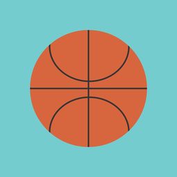 开云体育娱乐-中国篮球职业联赛市场竞争环境与发展策略，中国竞技篮球的发展趋势